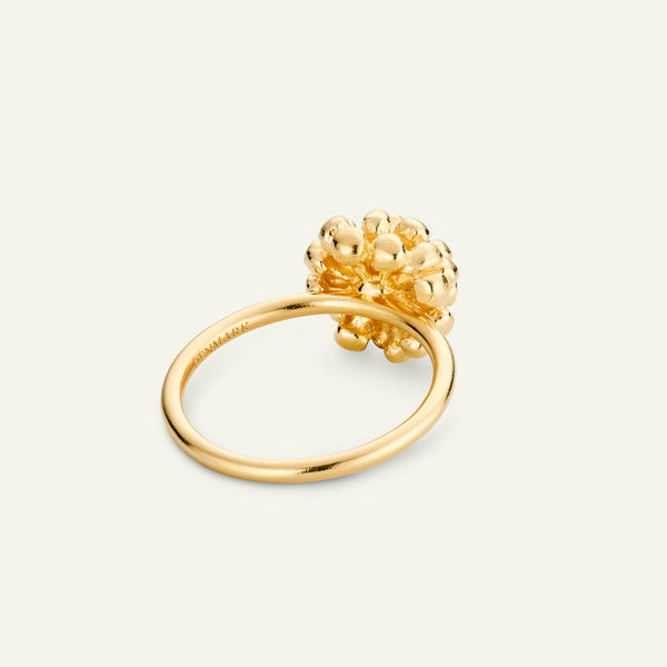 Dild Ring Forgyldt