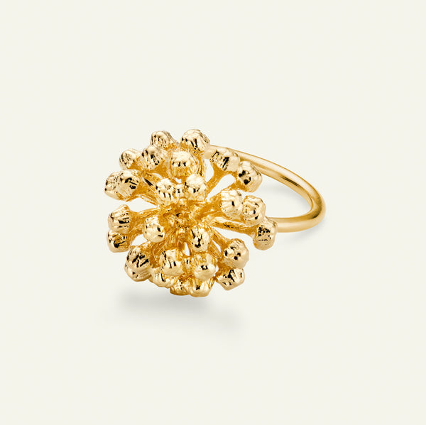 Dild Statement Ring Forgyldt