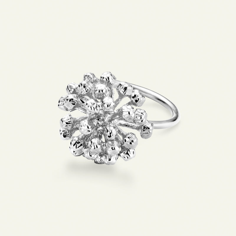 Dild Statement Ring Sølv