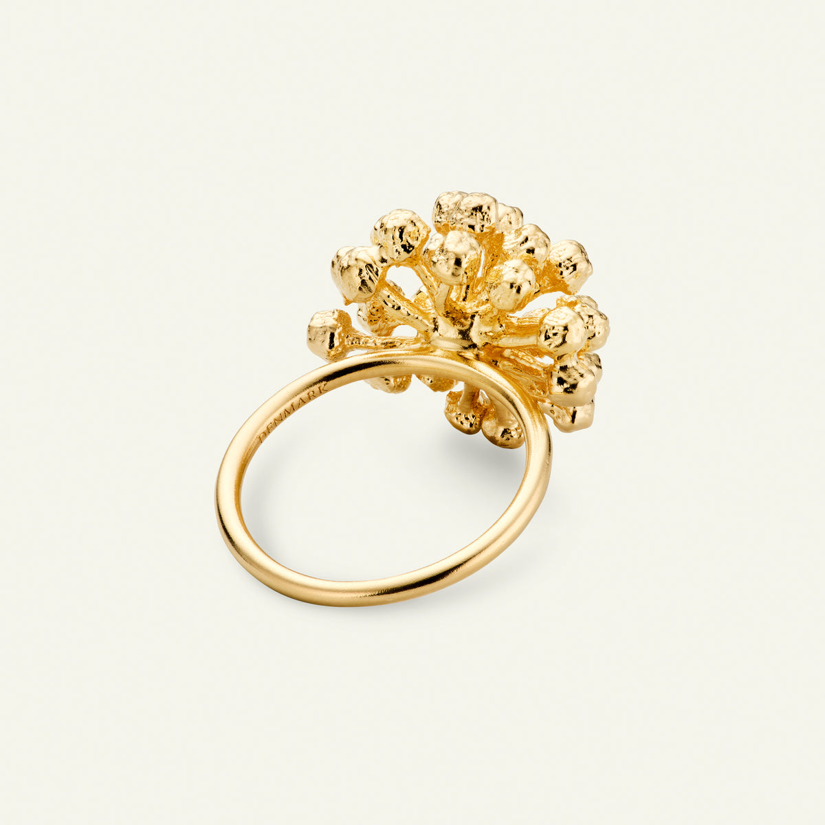 Dild Statement Ring Forgyldt