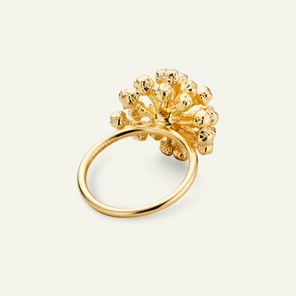 Dild Statement Ring Forgyldt