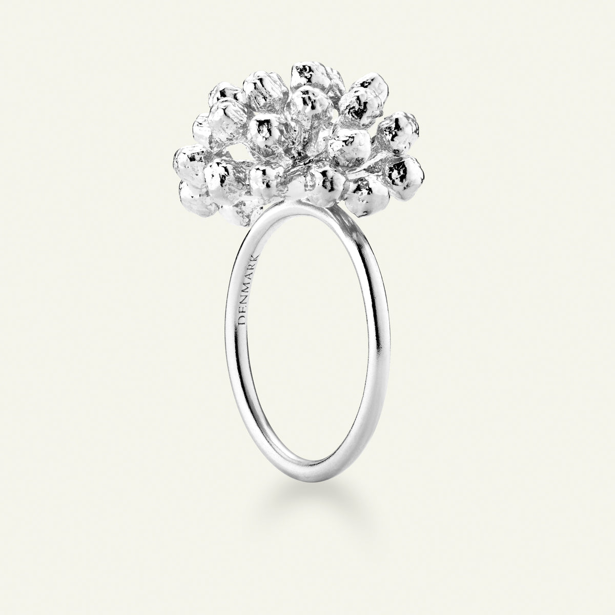 Dild Statement Ring Sølv