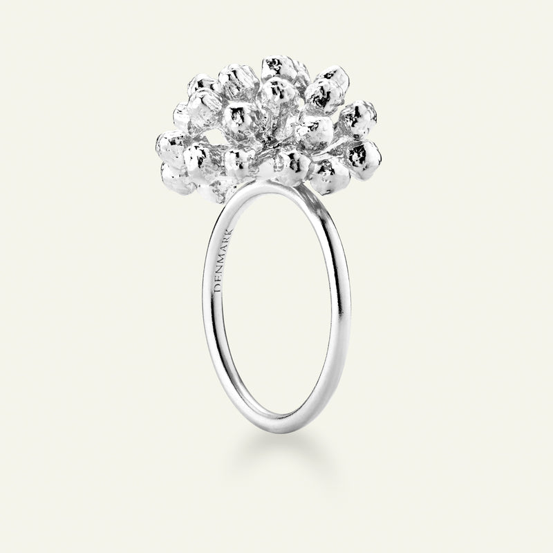 Dild Statement Ring Sølv