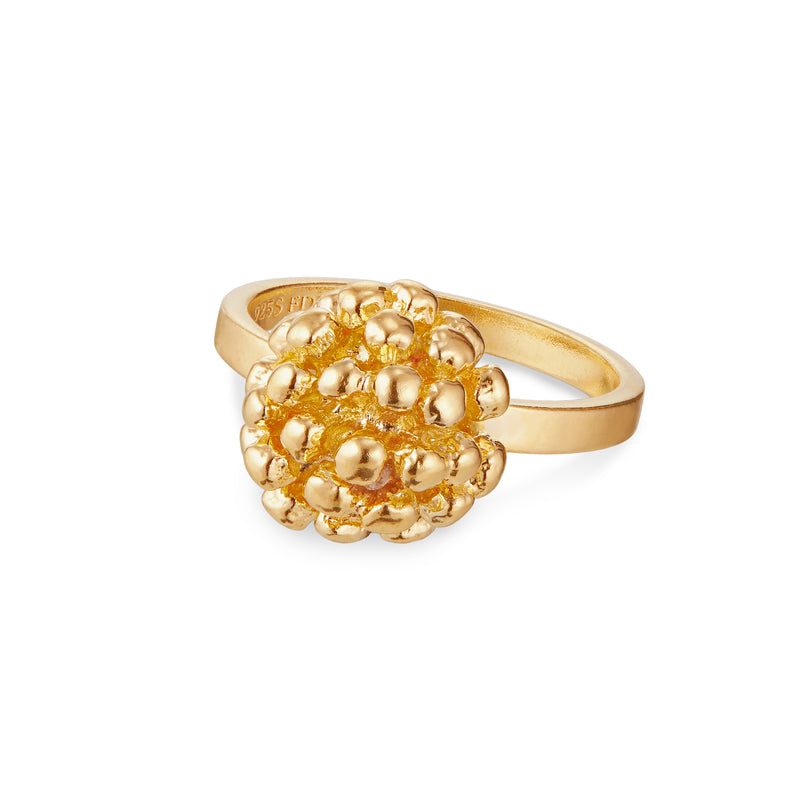 Dild Ring (1) - 22K.jpg