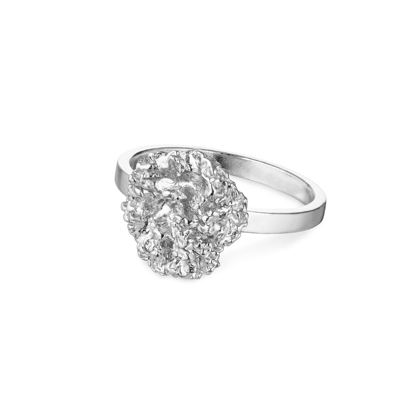 Persille Ring (1) - Silver.jpg