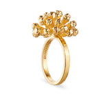 Dild Statement Ring 18 karat guld