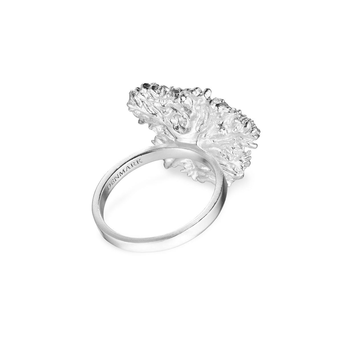 Statement Persille Ring (2) - Silver.jpg