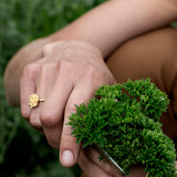 Persille Ring Forgyldt